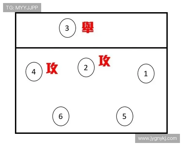 从零基础到高手之路：全面掌握排球配合技巧与战术解析