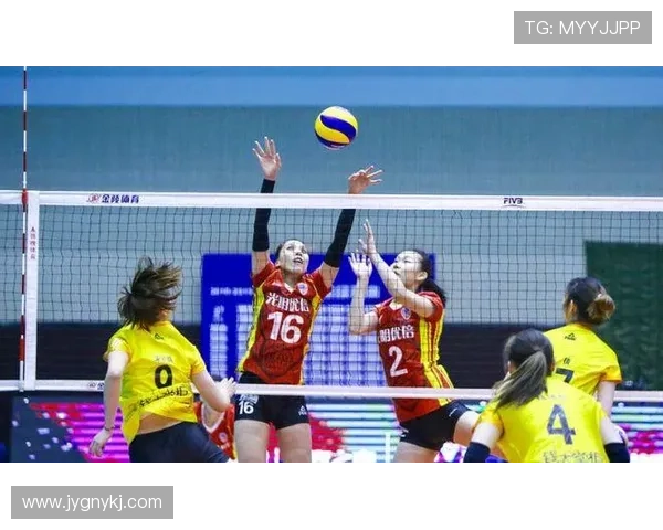 南京排球队强势领跑城市联赛积分榜总积分达92分展现出色实力